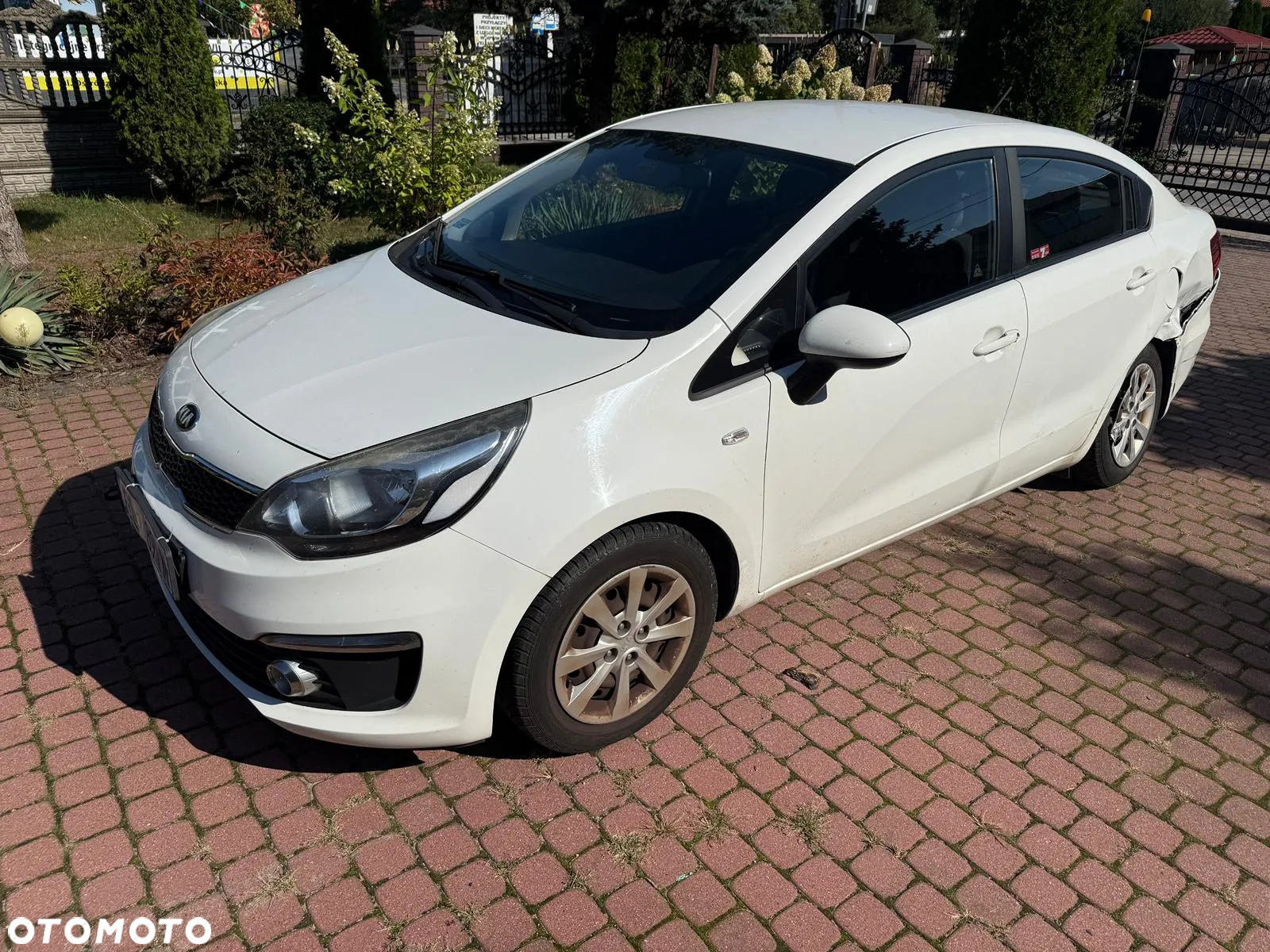 Kia Rio 1.2 L - 6