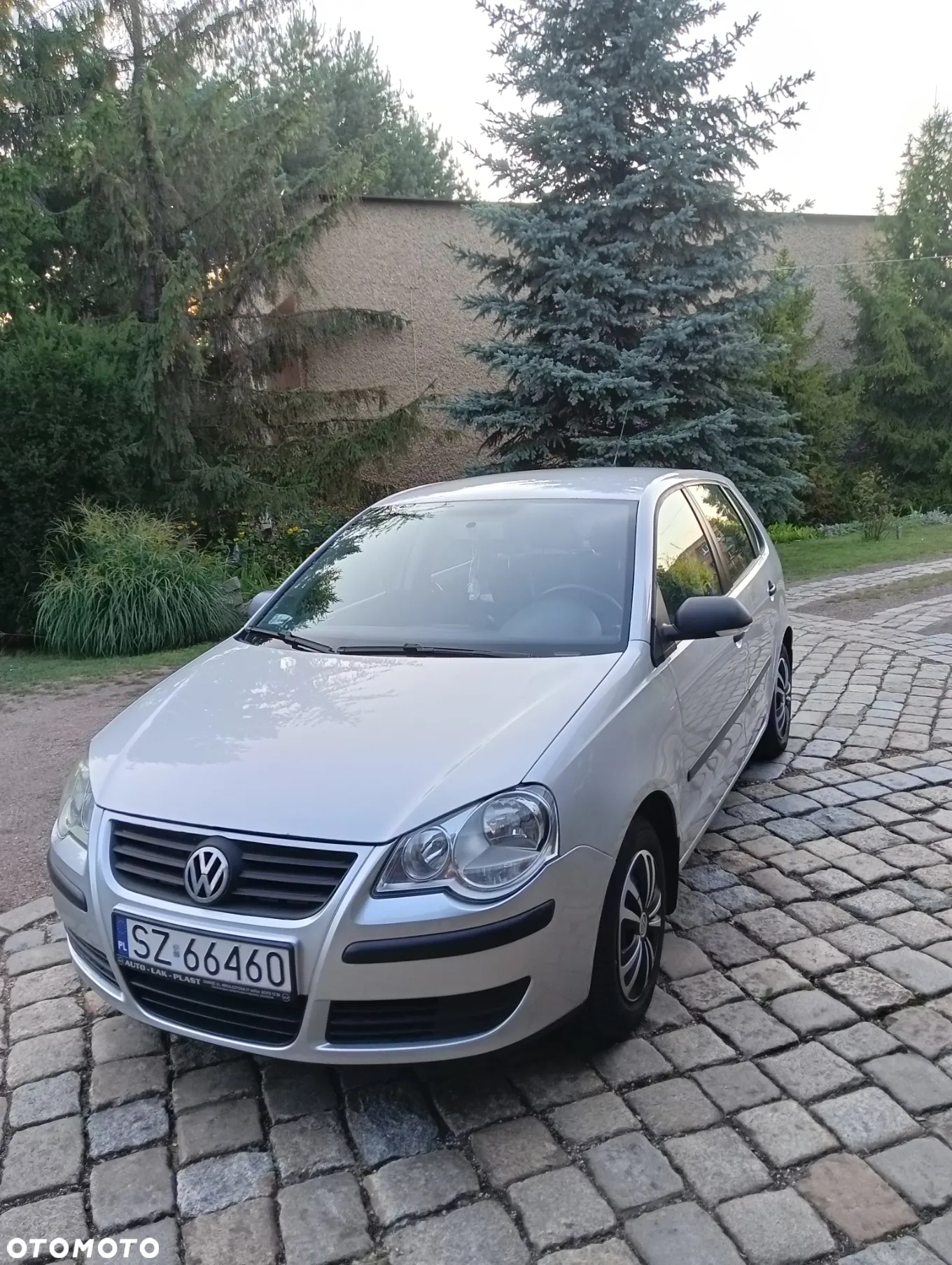 Volkswagen Polo - 2