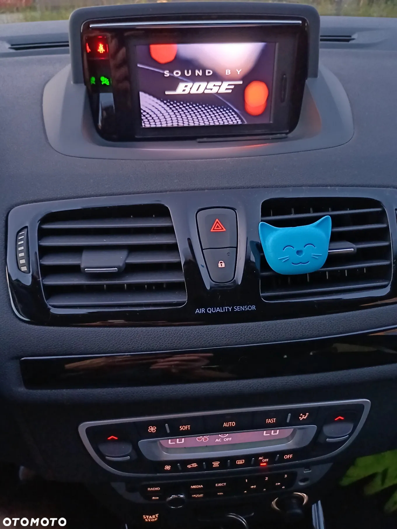 Renault Megane - 11