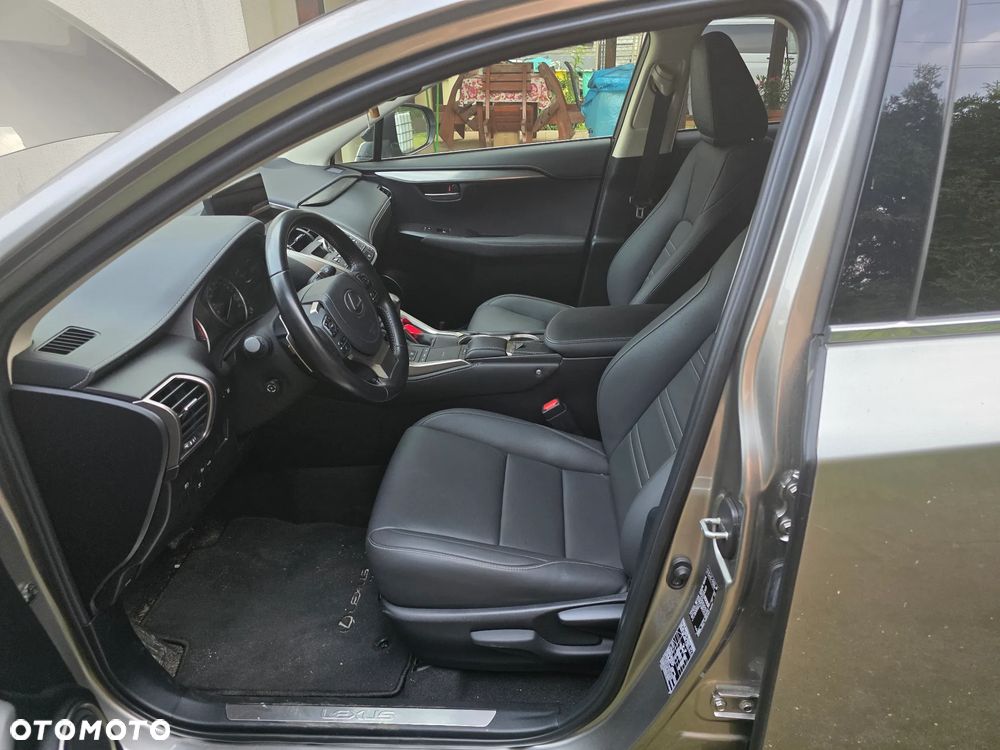 Lexus NX 300 Business Edition AWD - 6
