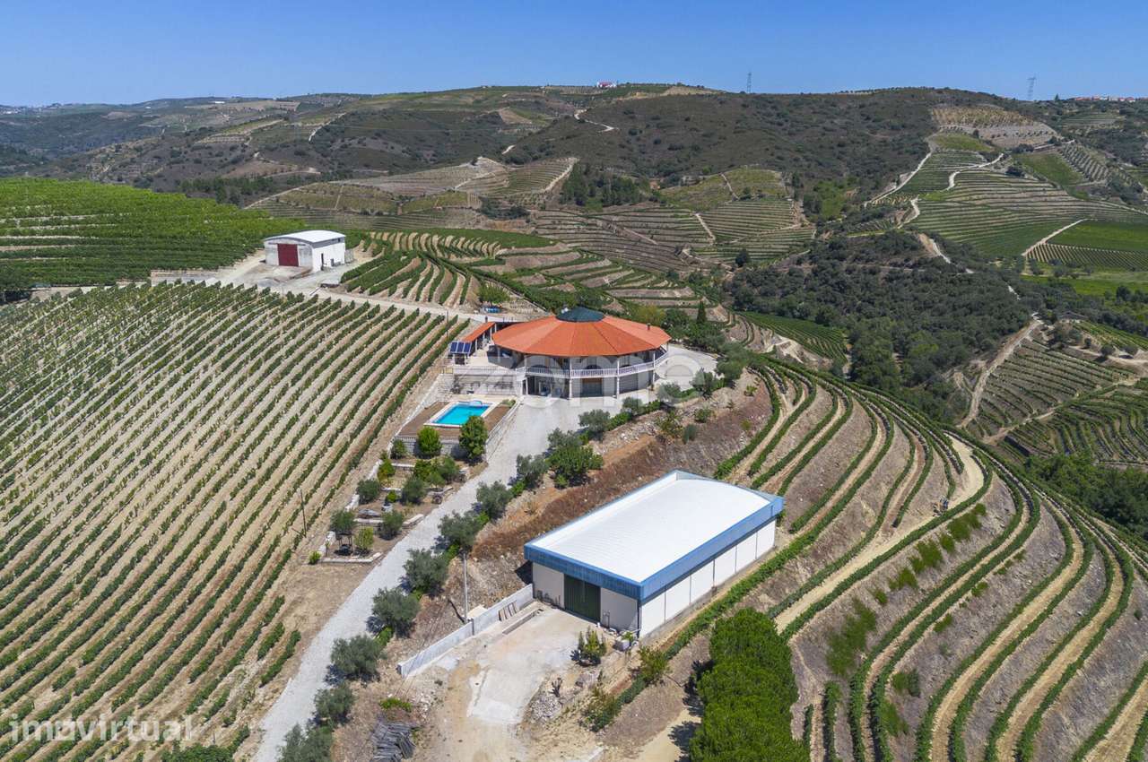 Quinta com casa, piscina e exploração vitivinícola - Grande imagem: 2/60
