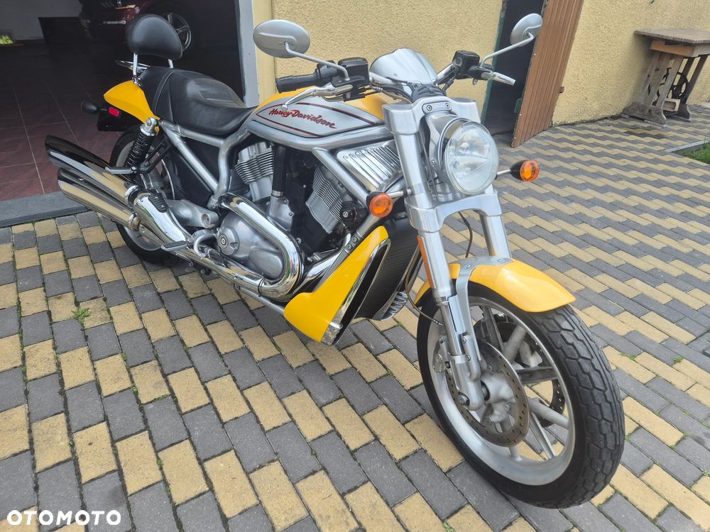 Harley-Davidson V-Rod Street Rod - 1