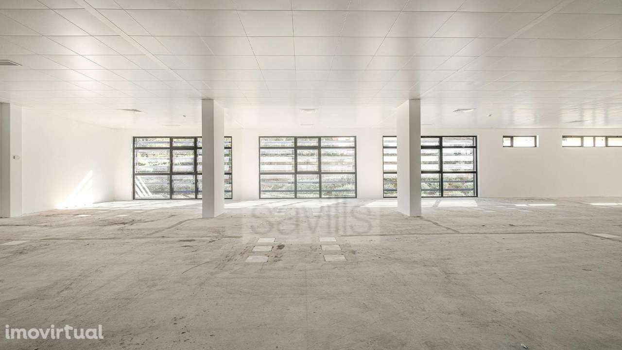 Atlas III - Grande imagem: 5/16