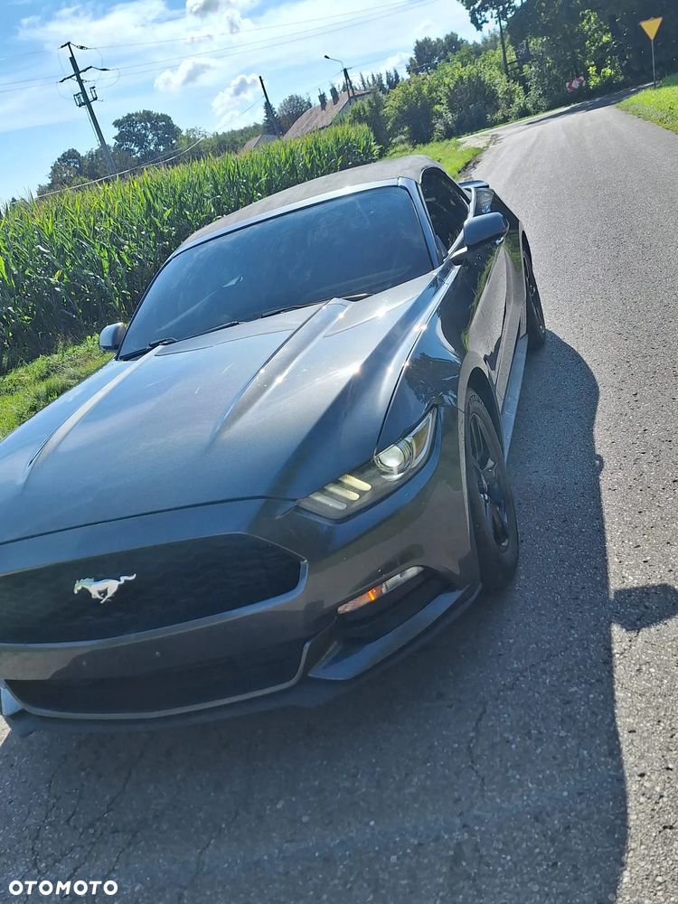 Ford Mustang 3.7 V6 Premium - 2