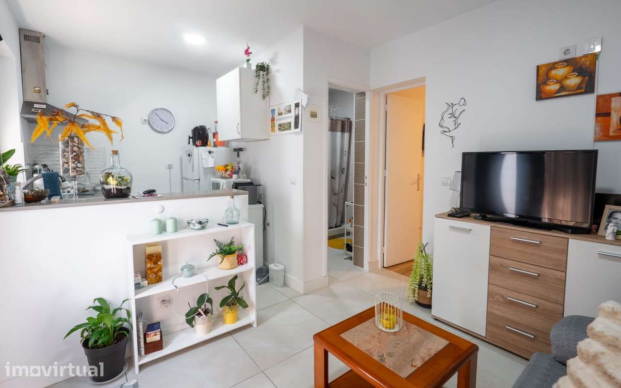 Quatro Moradias T1 com terreno - Grande imagem: 4/16