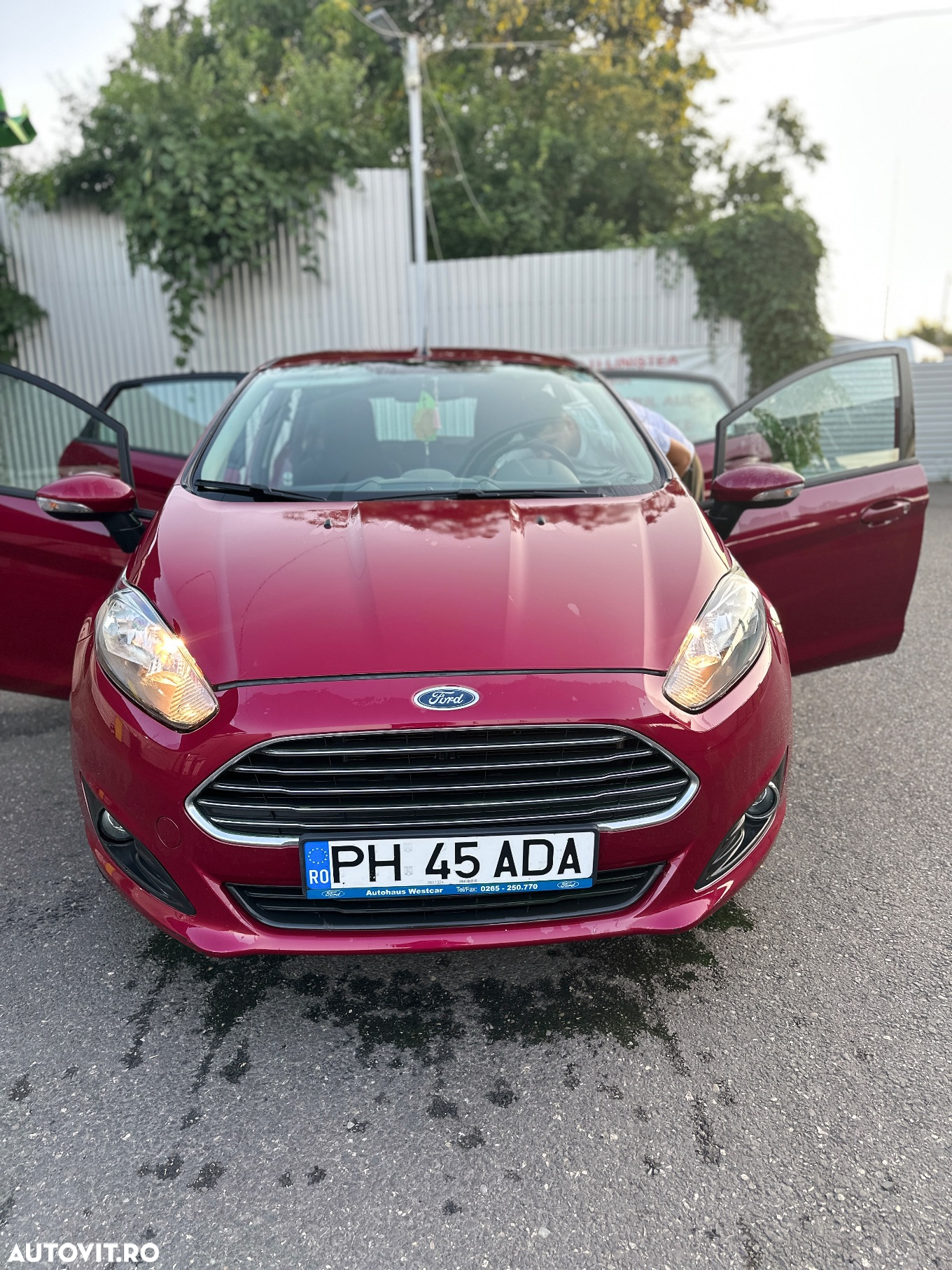 Ford Fiesta - 10