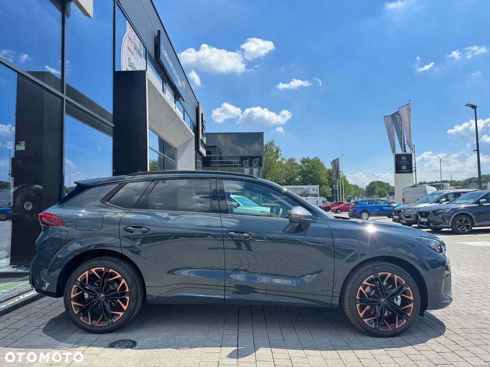 Cupra Terramar - 6