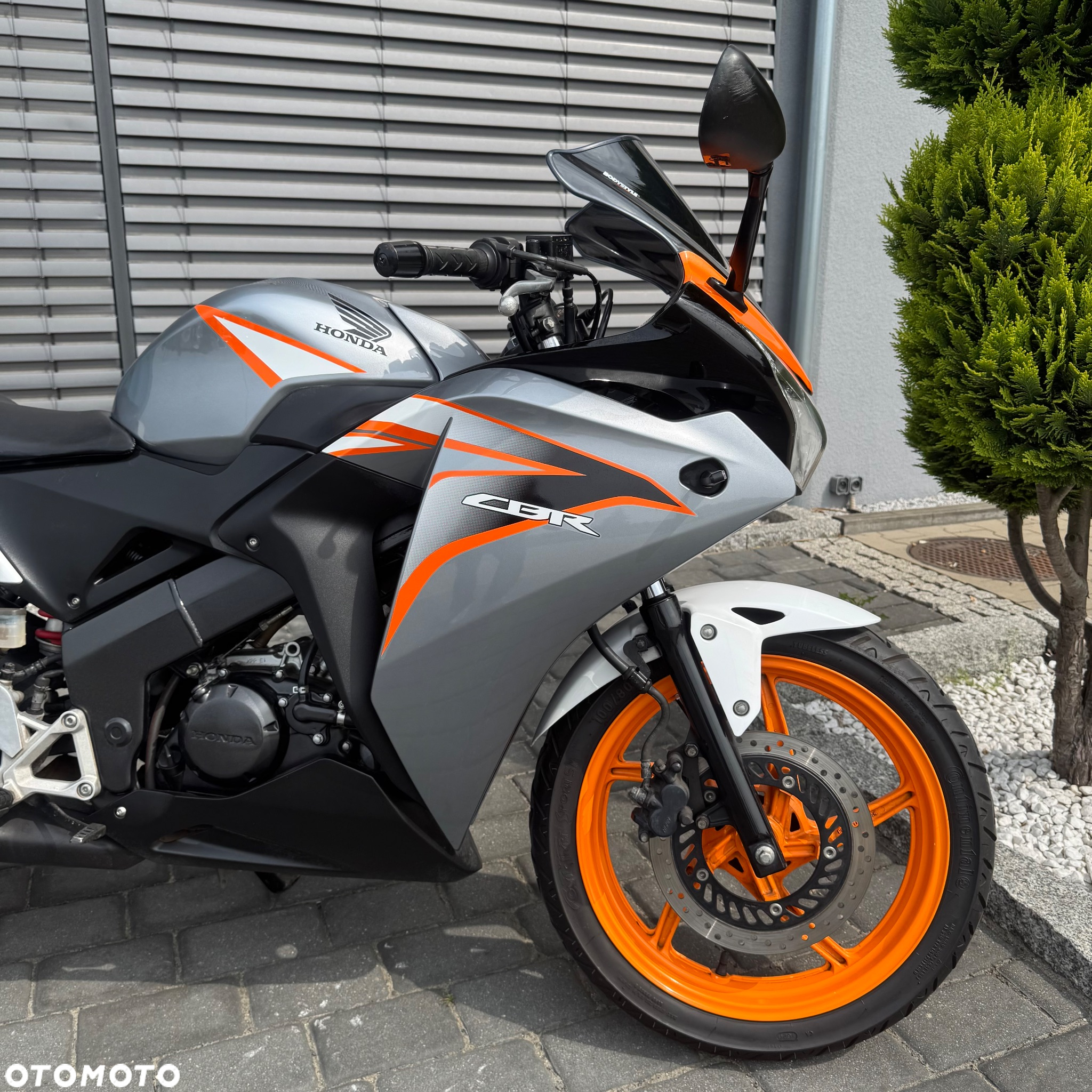 Honda CBR - 6