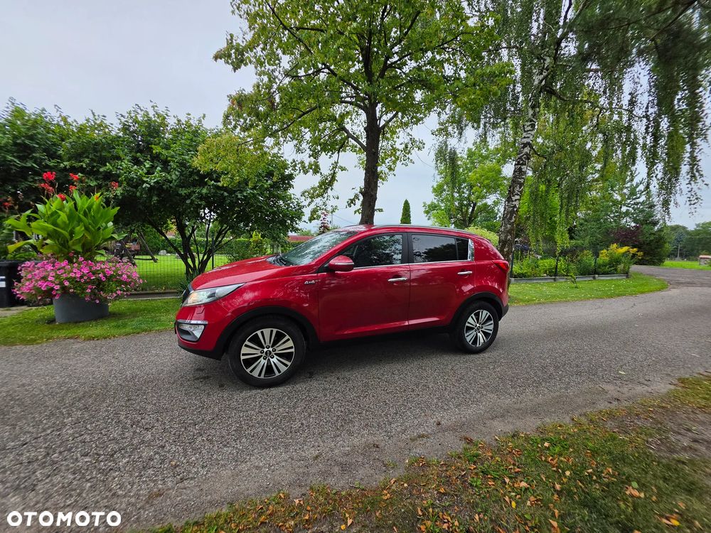 Kia Sportage - 31
