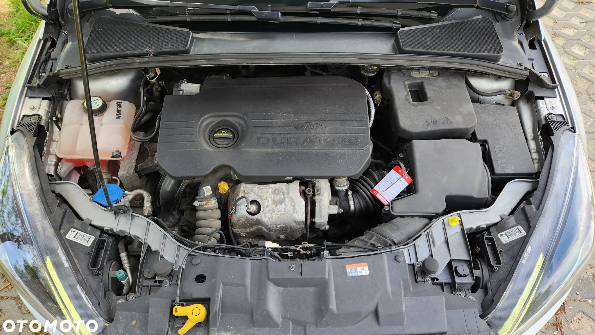 Ford Focus - 13