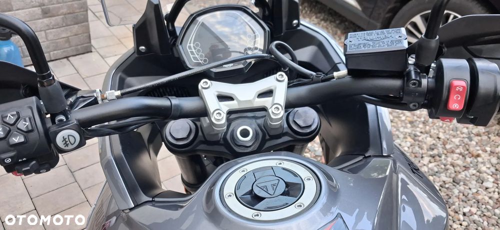 Triumph Tiger - 23