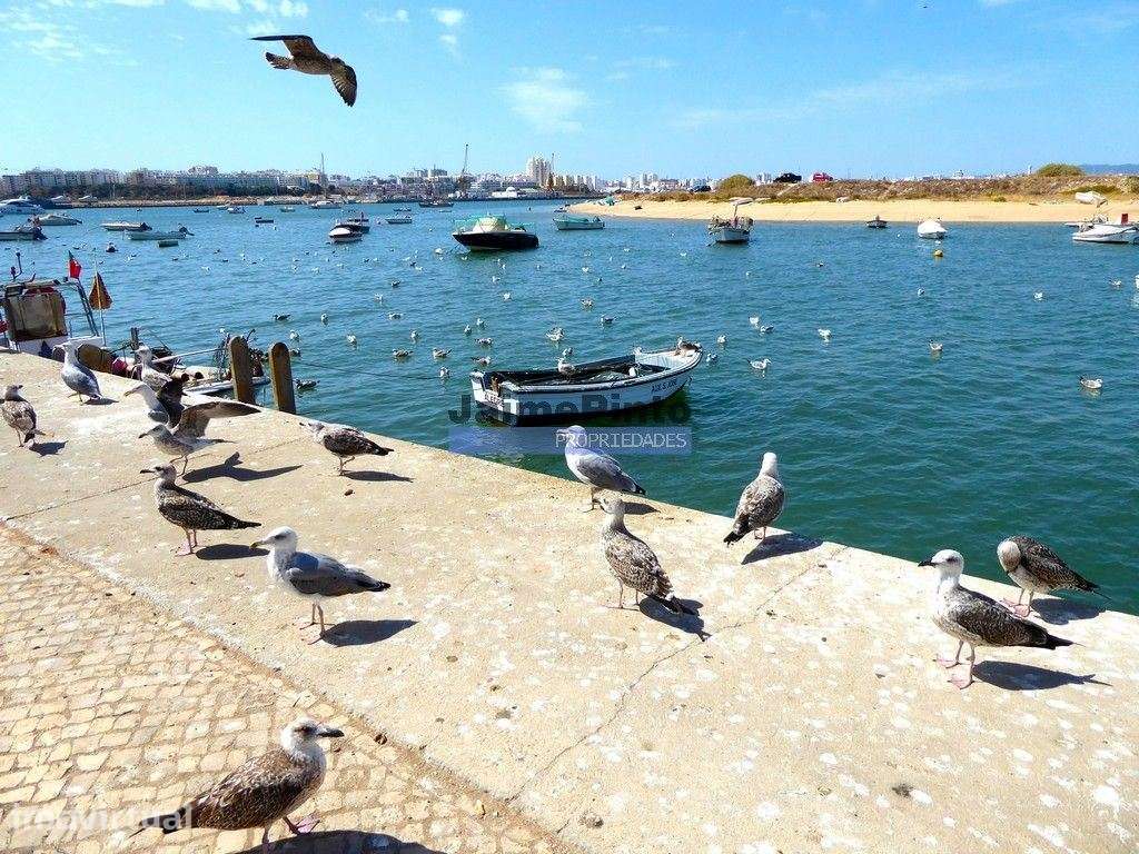 Hostel aprovado p/ construção, 20 quartos. Portugal, Ferragudo, Alg... - Grande imagem: 4/7