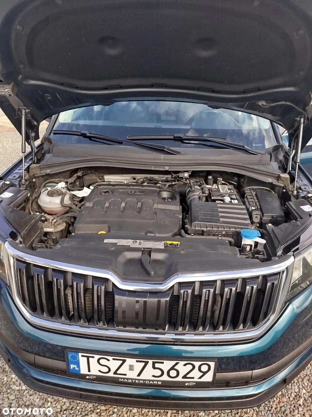 Skoda Kodiaq 2.0 TDI 4x2 Ambition DSG - 5
