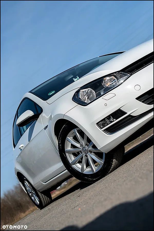 Volkswagen Golf - 16