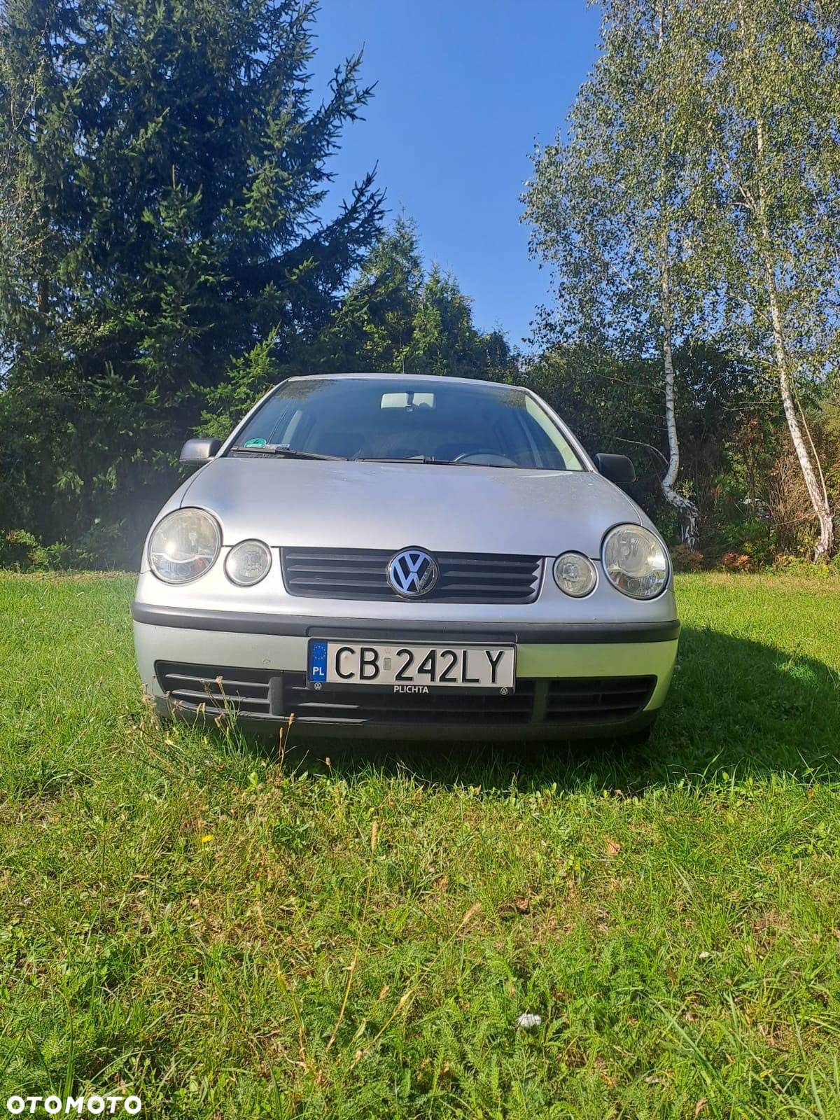 Volkswagen Polo - 2