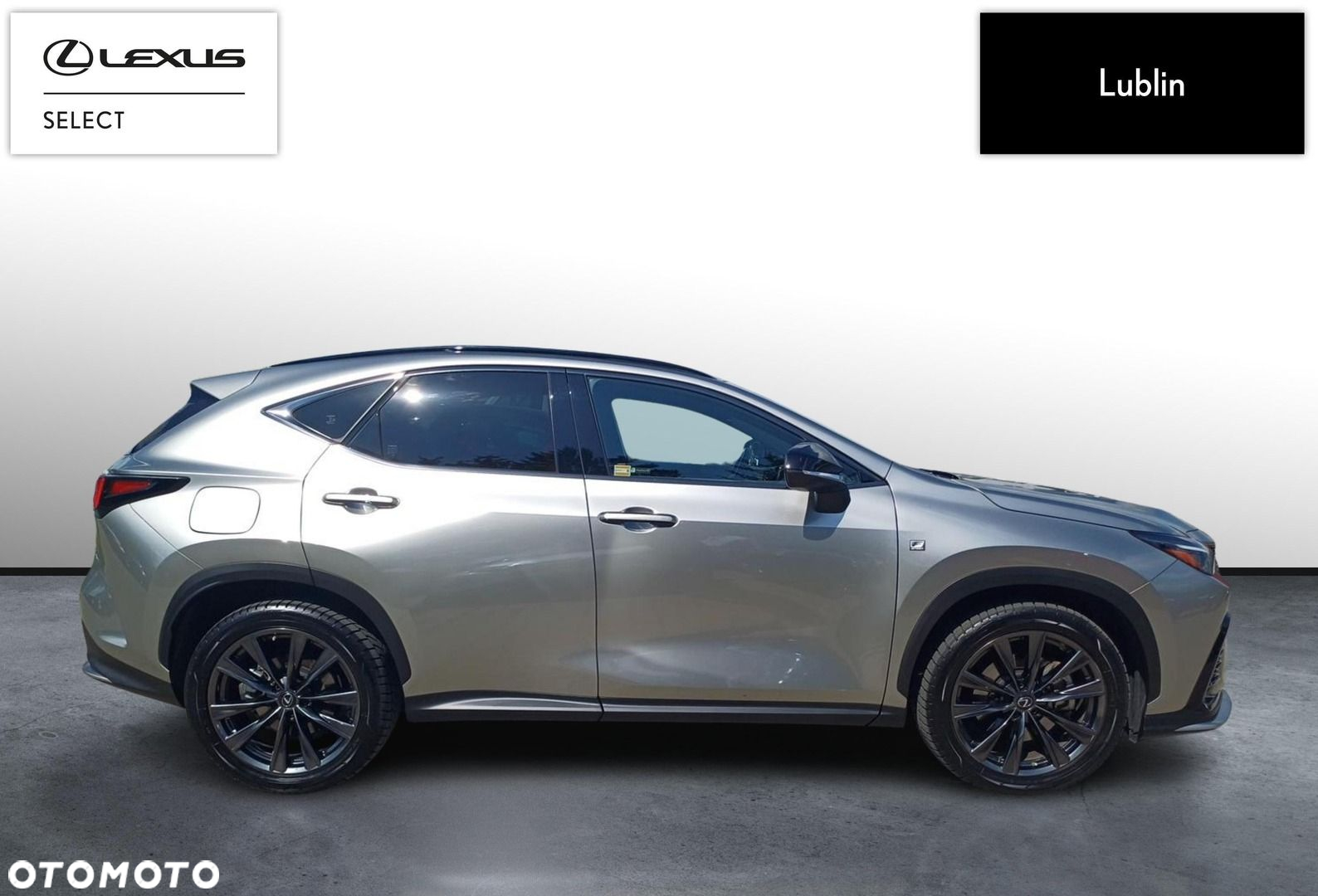Lexus NX - 6