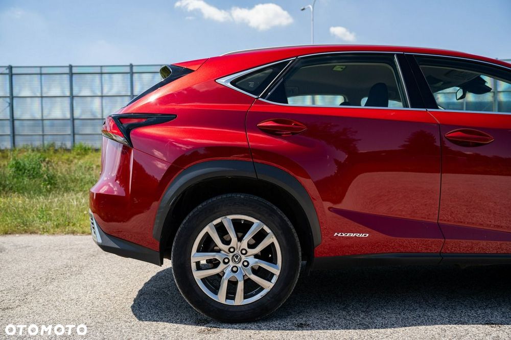 Lexus NX 300h Business Edition AWD - 8