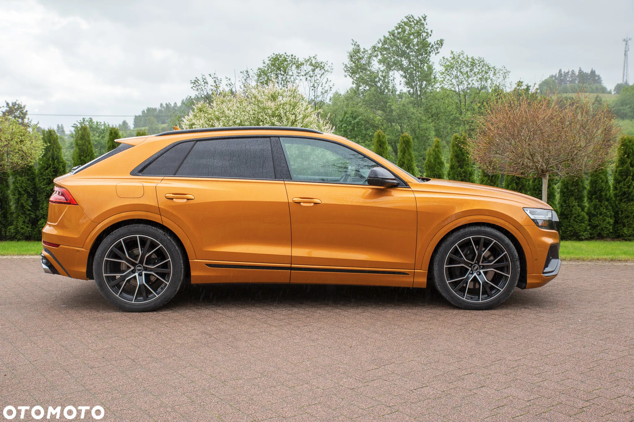Audi SQ8 S Q8 TFSI quattro tiptronic - 5