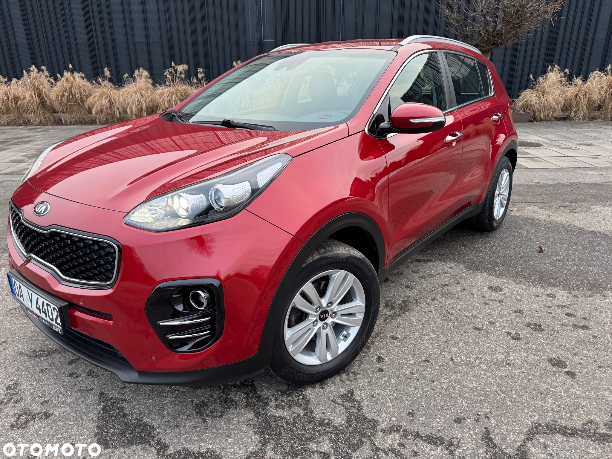 Kia Sportage 1.6 GDI Black Edition 2WD - 2
