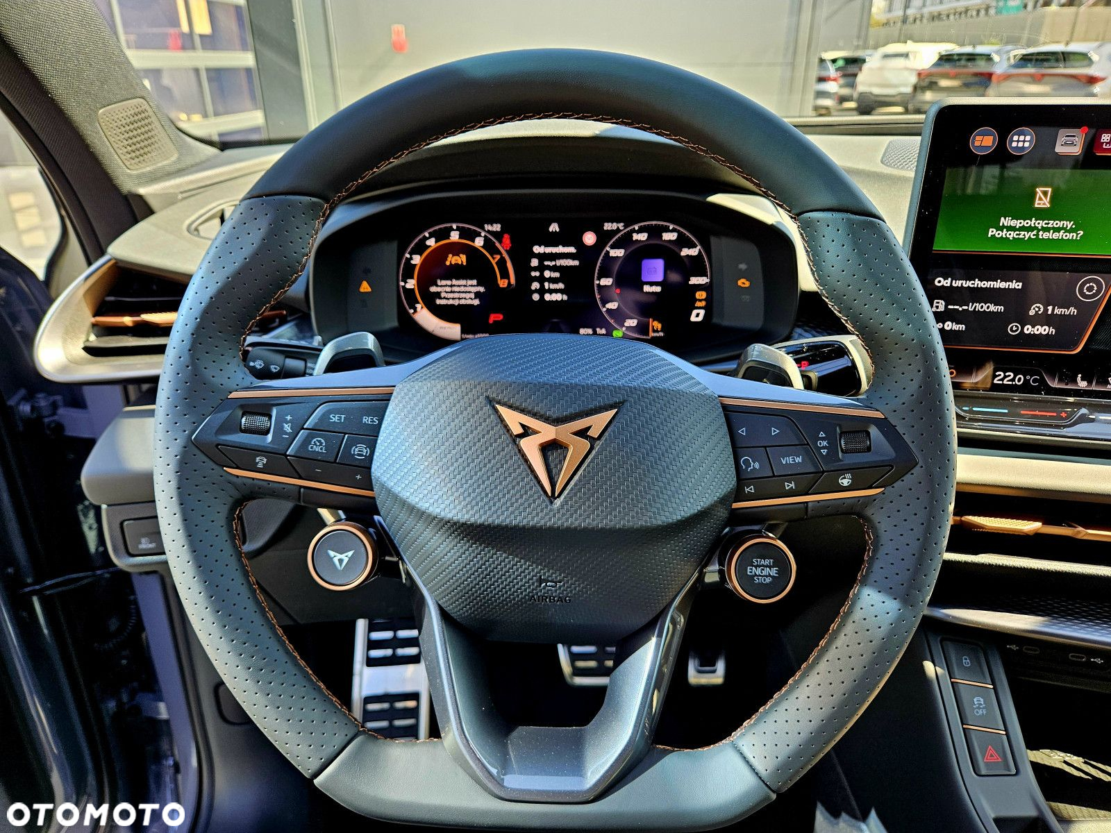 Cupra Terramar - 16