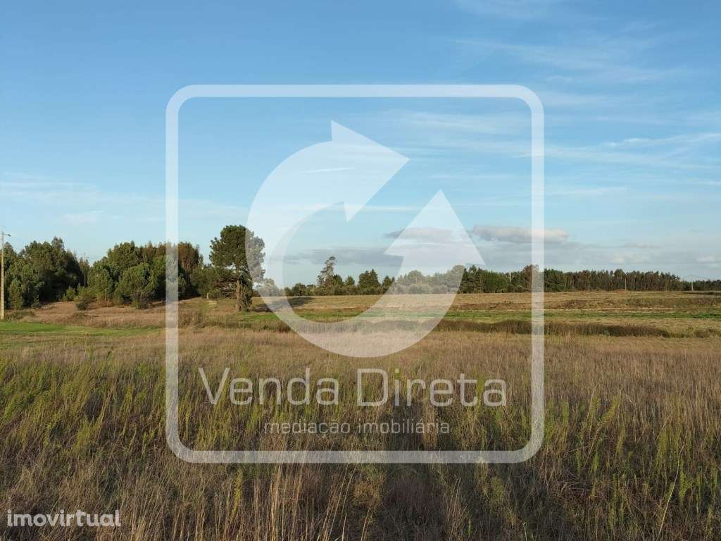 Terreno com 110.000 m2 junto à Nacional 10 - Com Armazém, Furo Lice... - Grande imagem: 4/20