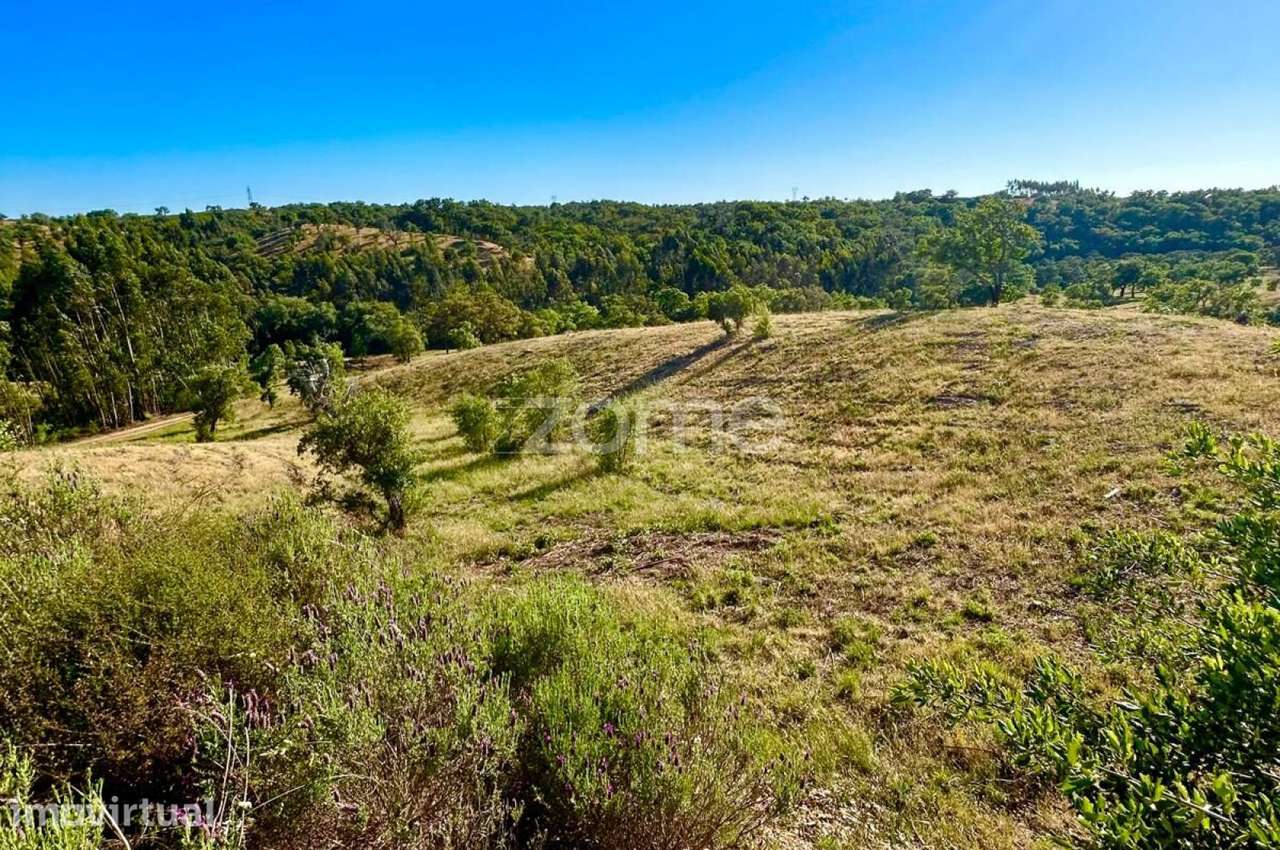 Casarões Eco Resort - Grande imagem: 2/26