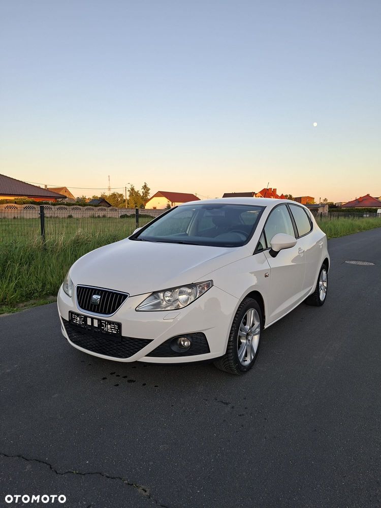 Seat Ibiza - 29