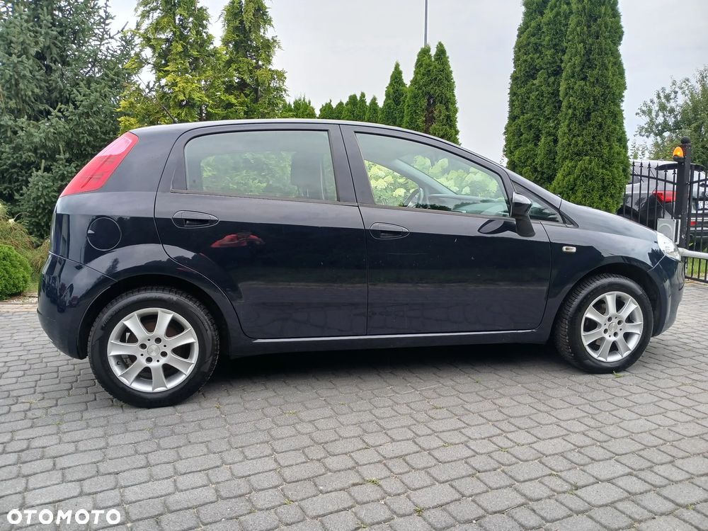 Fiat Punto - 16