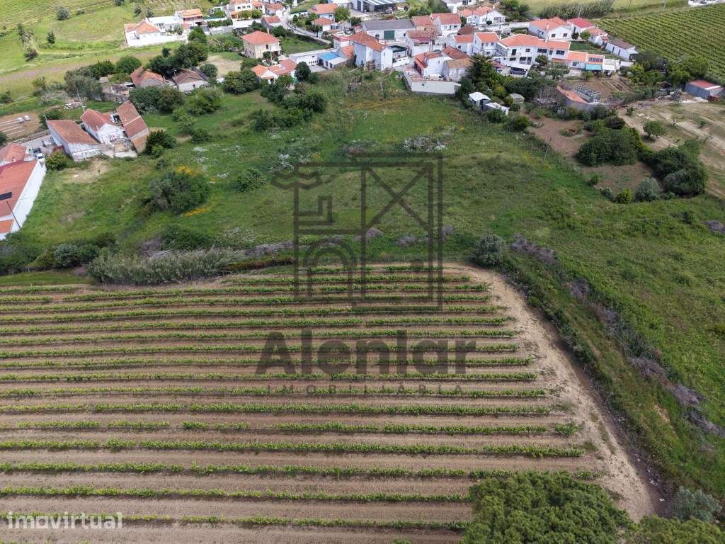 Terreno para Costrução a 5 minutos de Alenquer - Grande imagem: 5/22