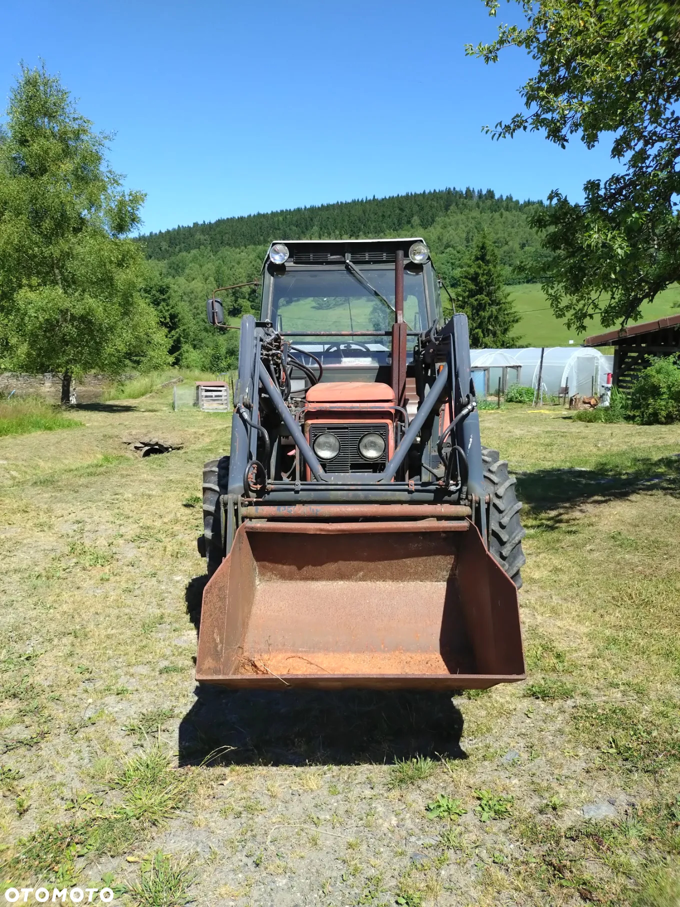 Zetor 62-45 - 10