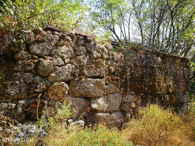 Terreno agrícola + pinhal S. Pedro France, Viseu - Grande imagem: 2/8