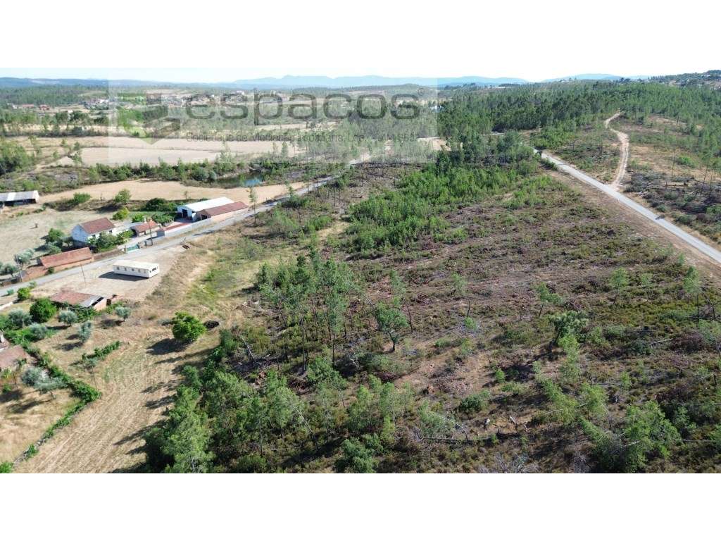 Terreno em Versadas - Grande imagem: 4/8