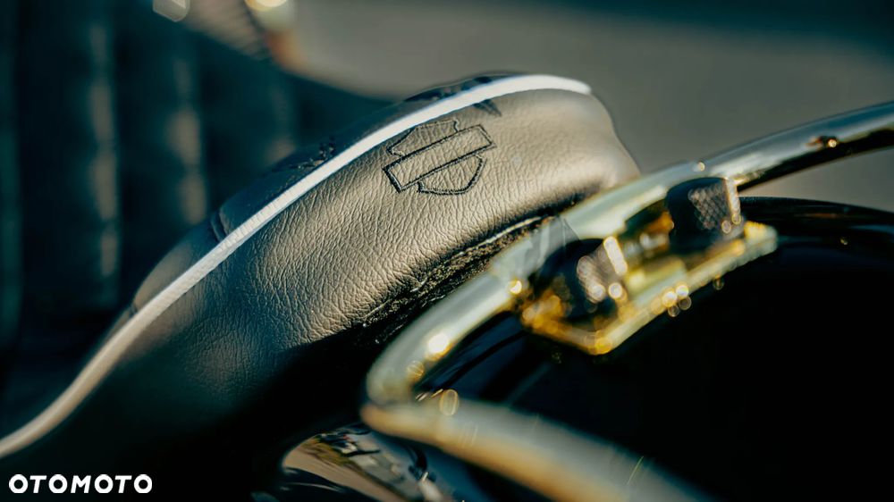 Harley-Davidson Softail Deluxe - 14