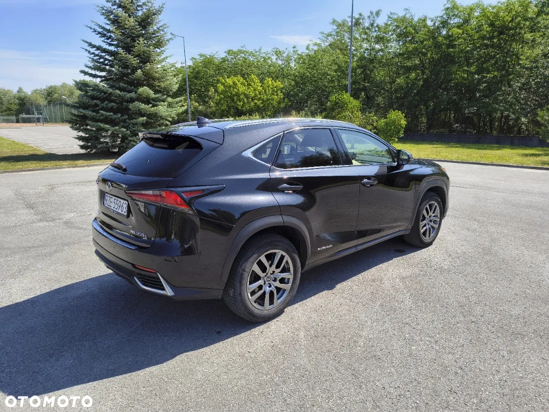 Lexus NX - 6