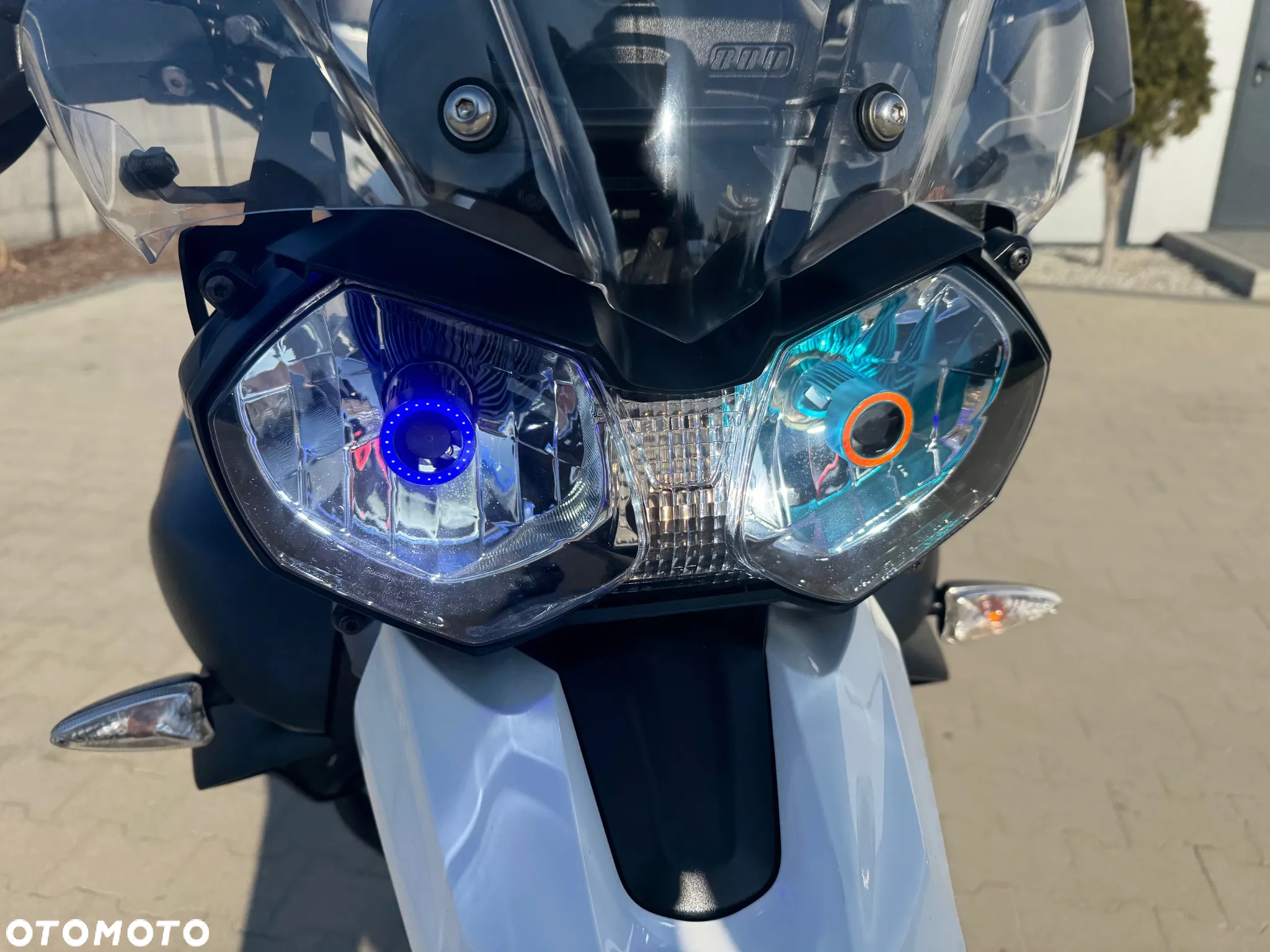 Triumph Tiger - 22