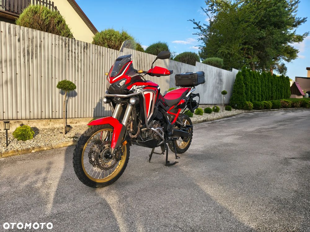 Honda CRF - 19