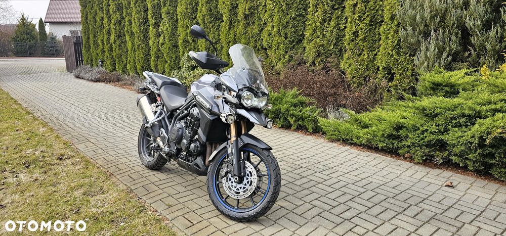 Triumph Tiger - 2