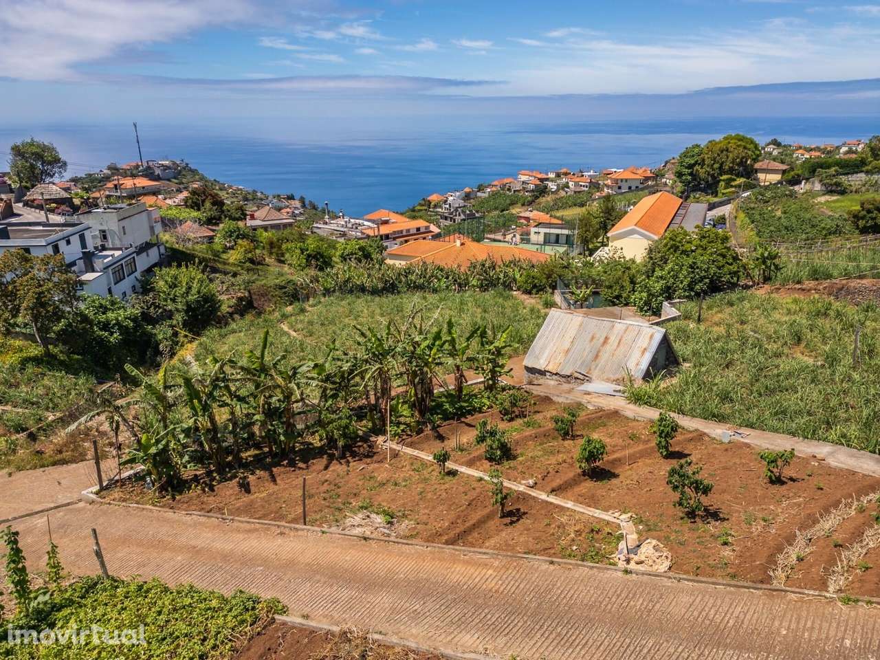 Terreno Rústico com Excelente Exposição Solar e Acessos – Canhas - Grande imagem: 2/18