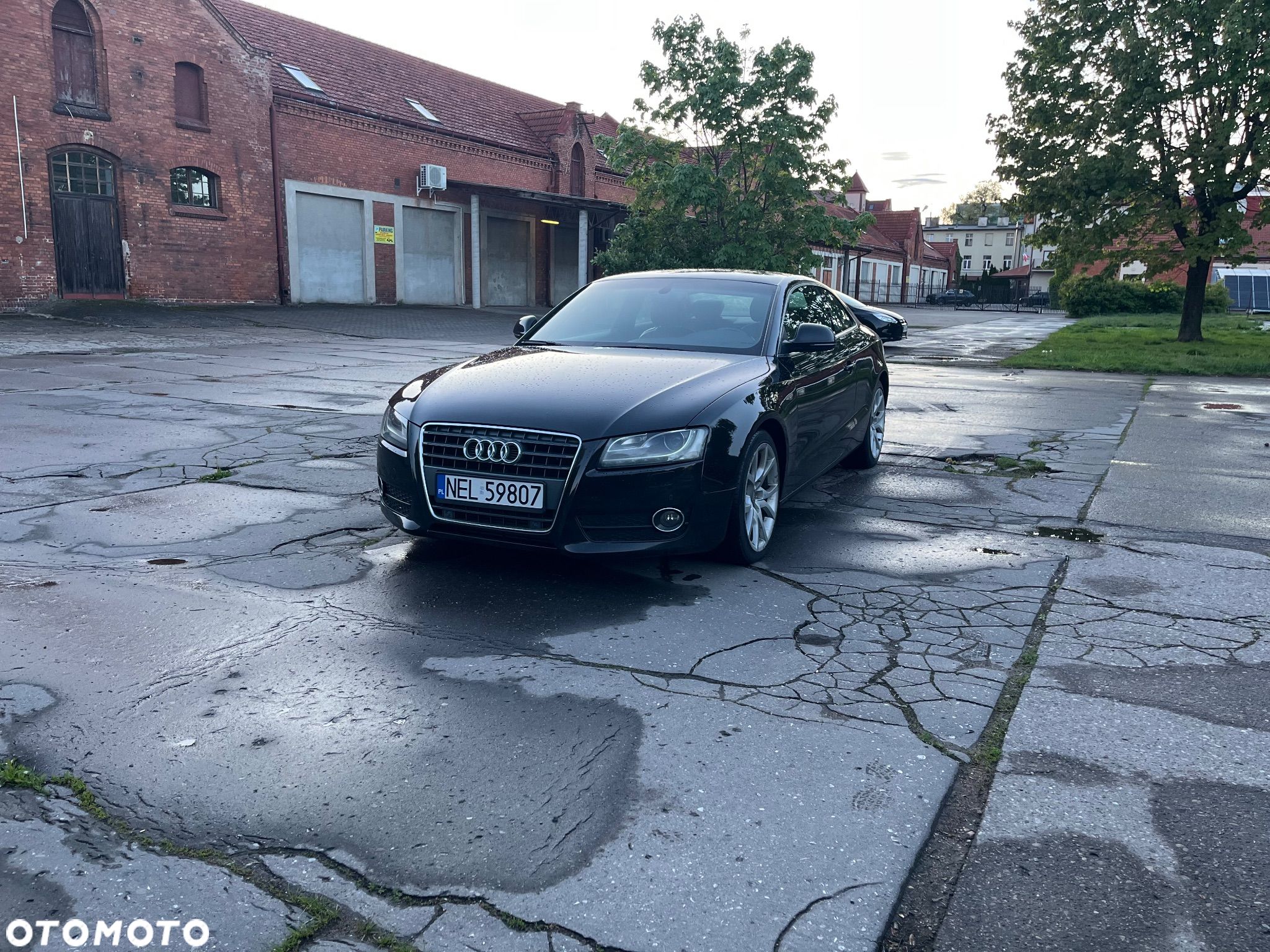 Audi A5 2.7 TDI Multitronic - 1
