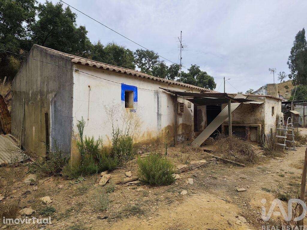 Casa de Campo T1 em Relíquias de 47,00 m2 - Grande imagem: 4/9