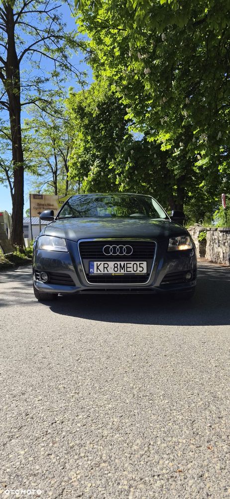Audi A3 3-drzwiowe 1.6 TDI DPF Attraction - 5