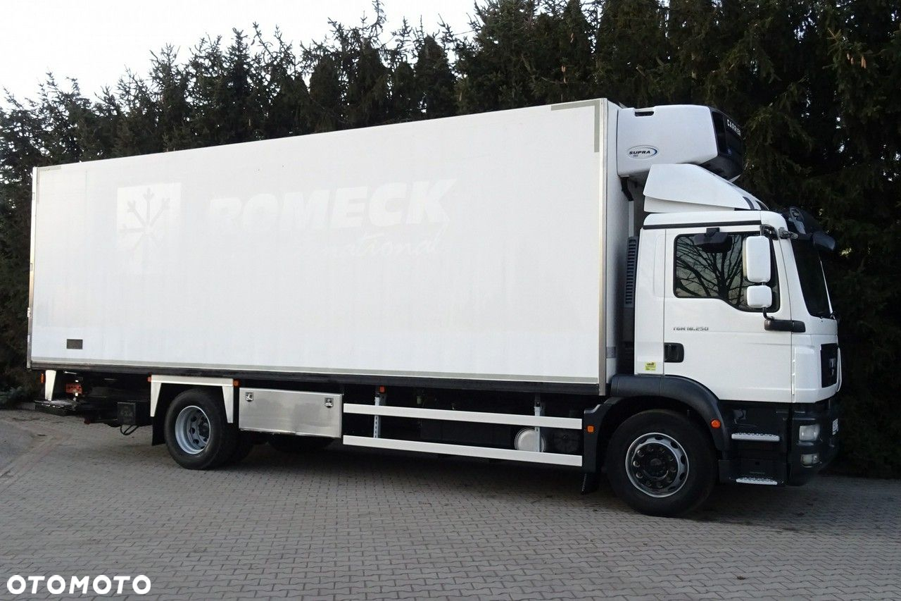 MAN TGM 18.250 Euro 5 chłodnia 20 palet winda sprowadzony - 24