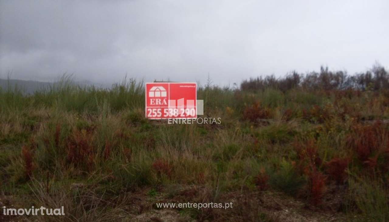 Venda Lote, Grilo, Baião - Grande imagem: 5/29