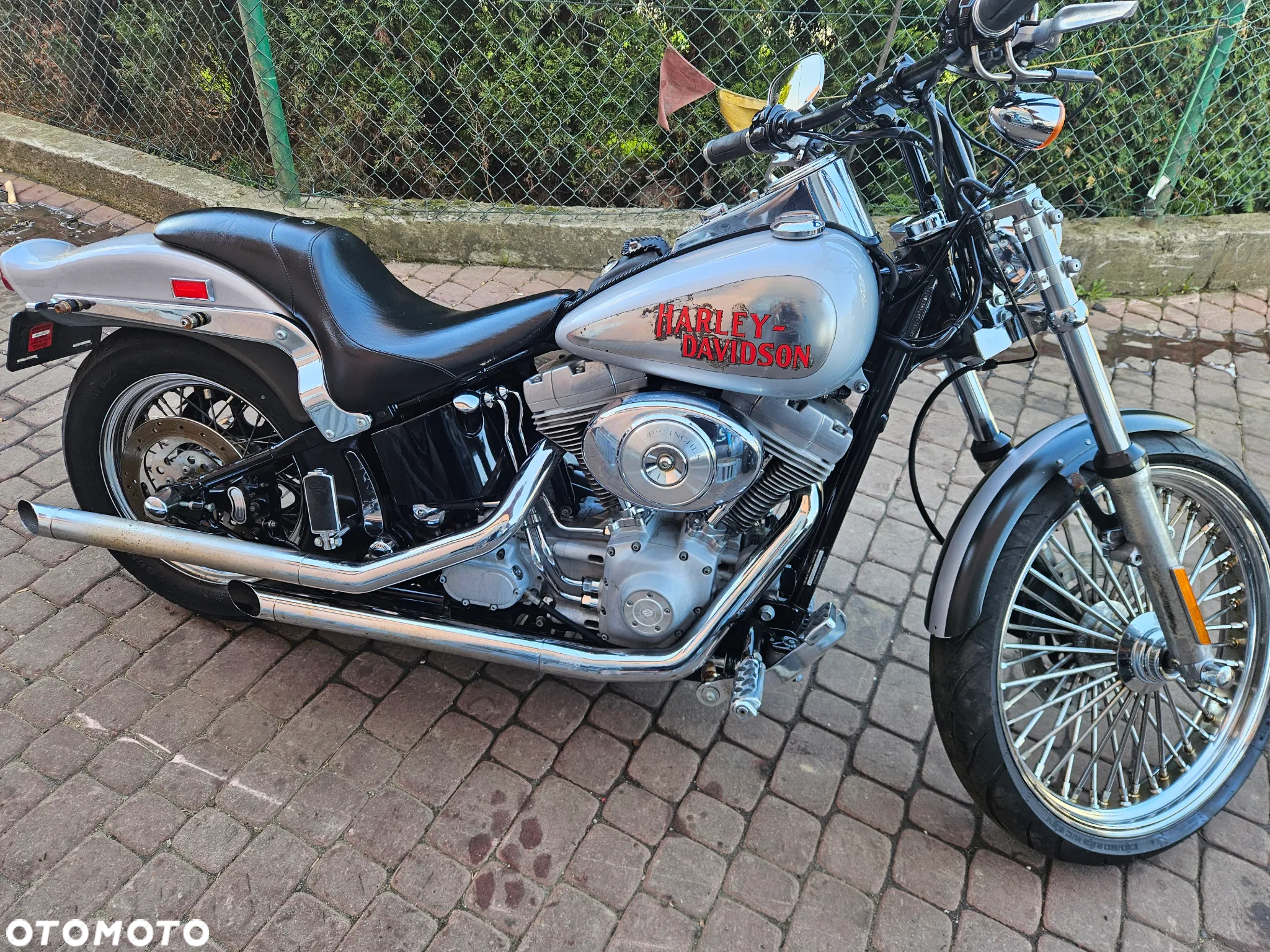 Harley-Davidson Softail - 29