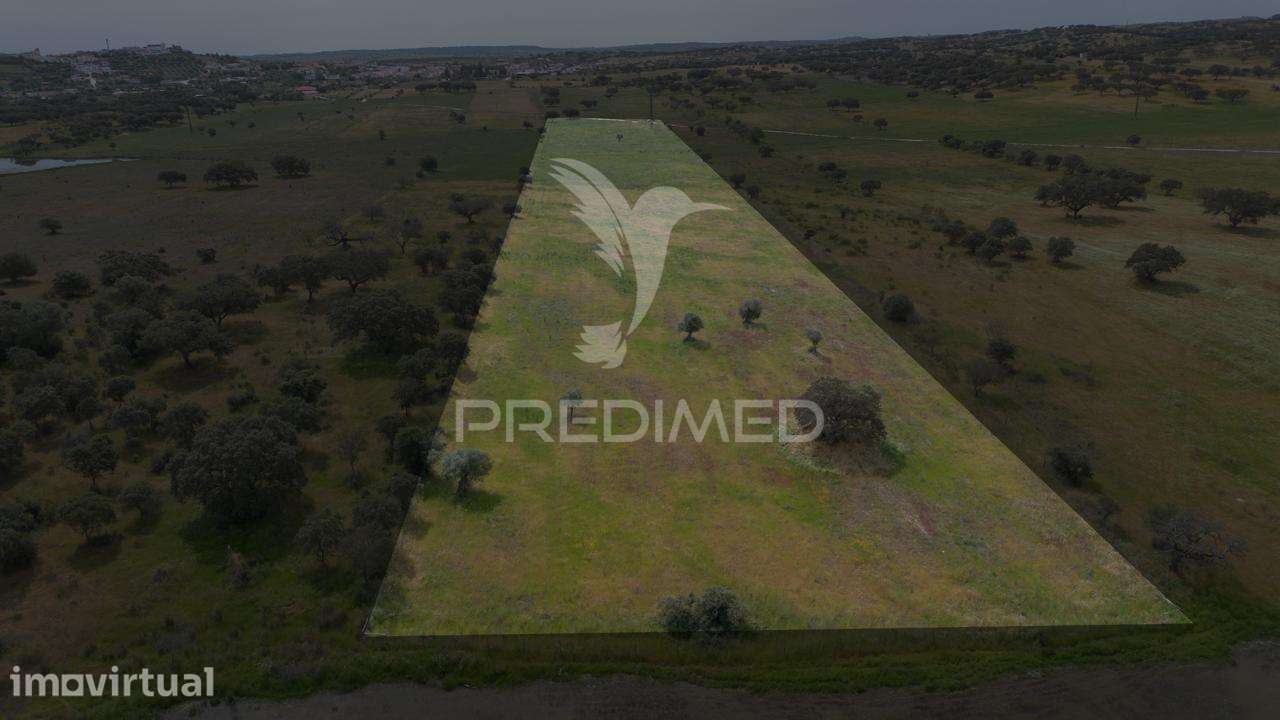 Terreno Rústico 2,725 Ha na Barragem do Lucefecit - Terena - Grande imagem: 2/23
