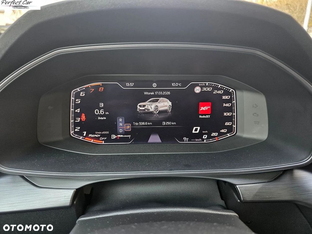 Cupra Formentor 1.5 TSI DSG Tribe Edition - 18