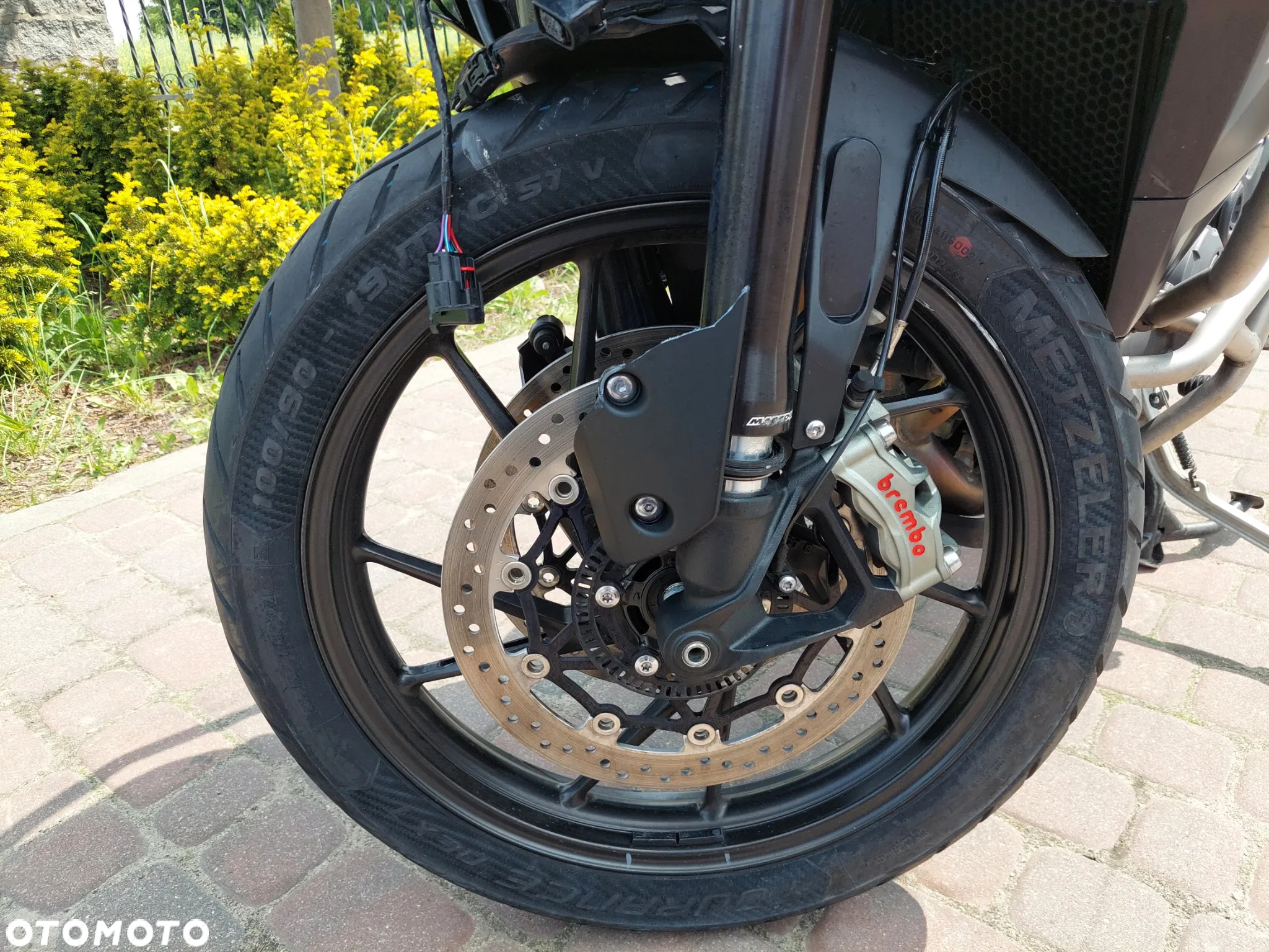 Triumph Tiger - 14
