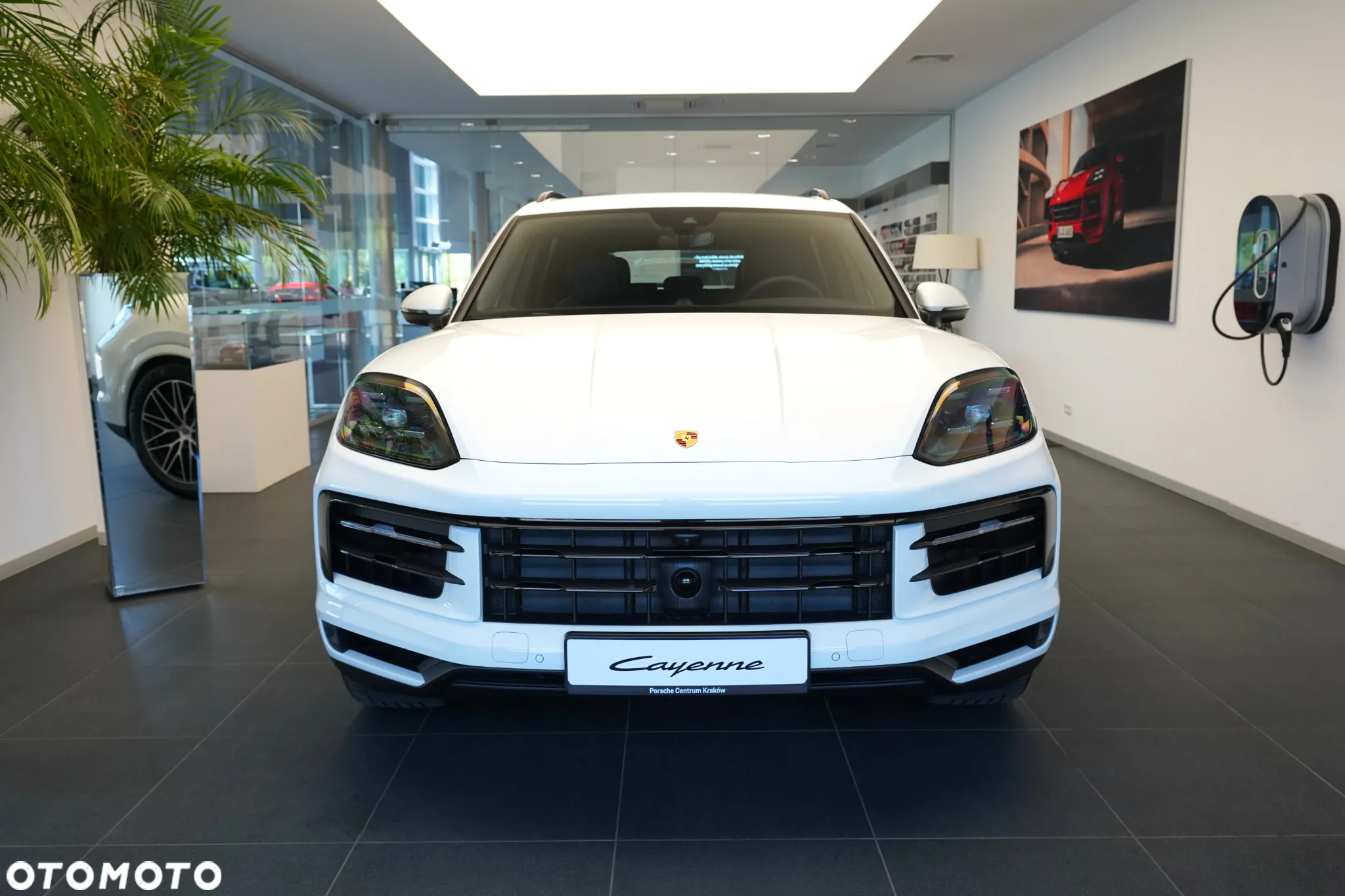 Porsche Cayenne E-Hybrid - 4