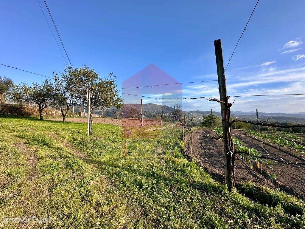 Terreno agrícola, Ponte - Grande imagem: 4/33