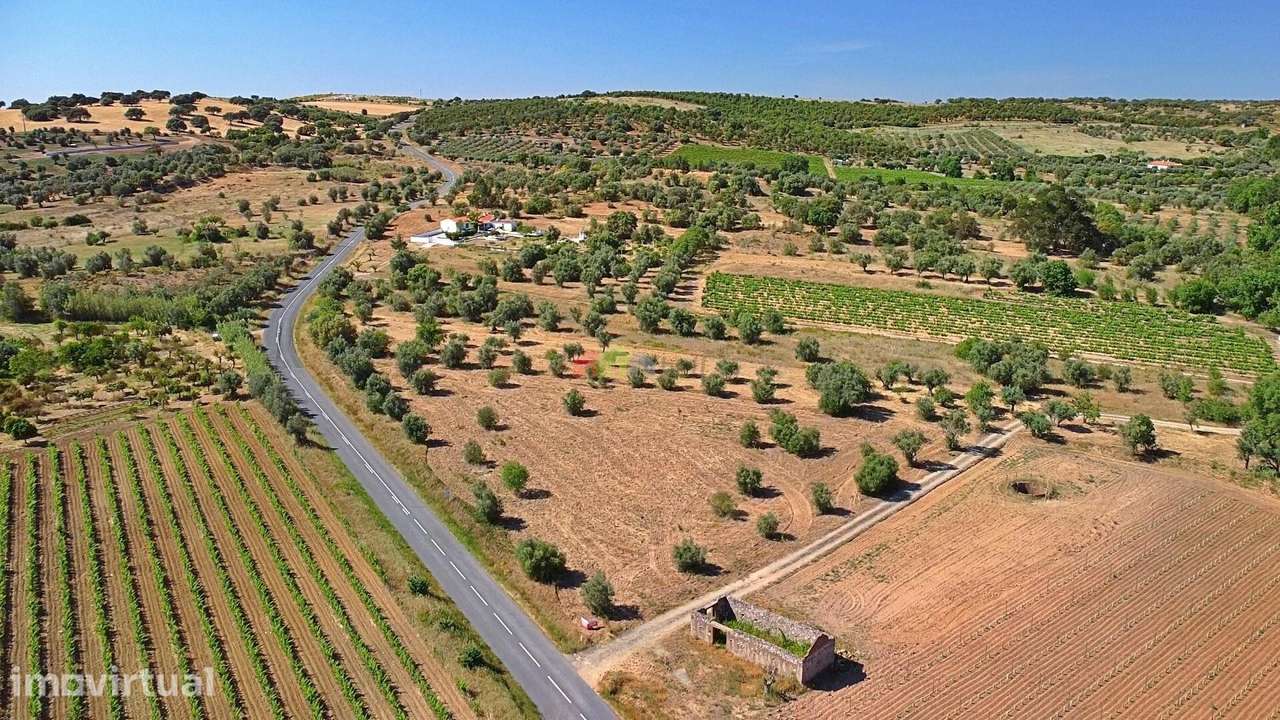 Terreno de 0,5ha com Olival e Potencial Turístico – Vila Alva - Grande imagem: 5/24
